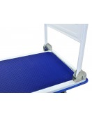 Cărucior de depozitare cu platformă de 300 kg - G71105