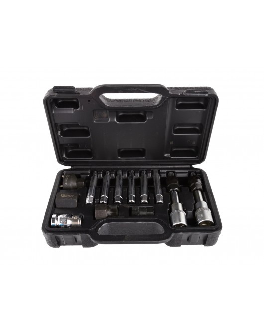 Set chei alternator 13el - G02780